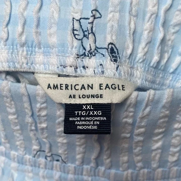 Peanuts x AE Snoopy Fruit Seersucker PJ Set XXL Blue Gingham Short Sleeve/Shorts - Picture 12 of 12